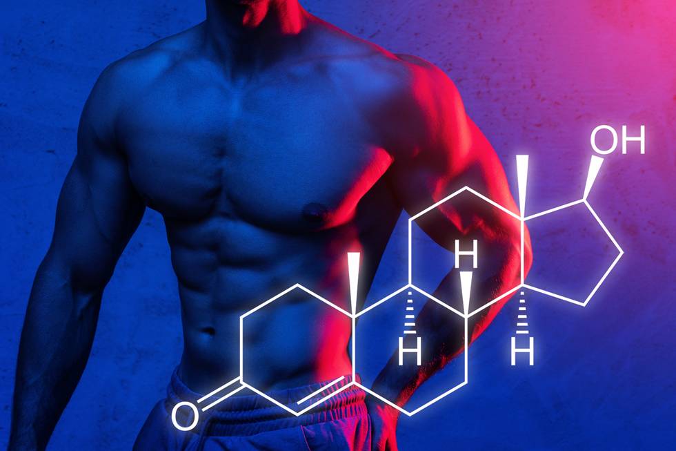 gay-schwul-sex-gesundheit-testosteron-wechseljahre-LGBTI-magazin-health.jpg gay-schwul-sex-gesundheit-testosteron-wechseljahre-LGBTI-magazin-health.jpg